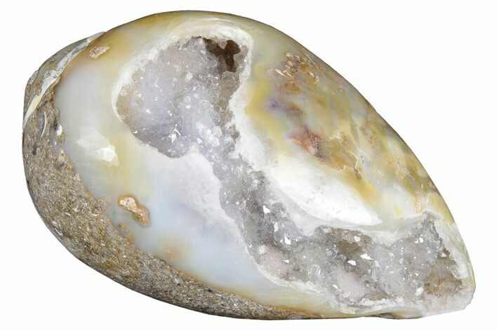 Chalcedony Replaced Gastropod With Sparkly Quartz - India #320804